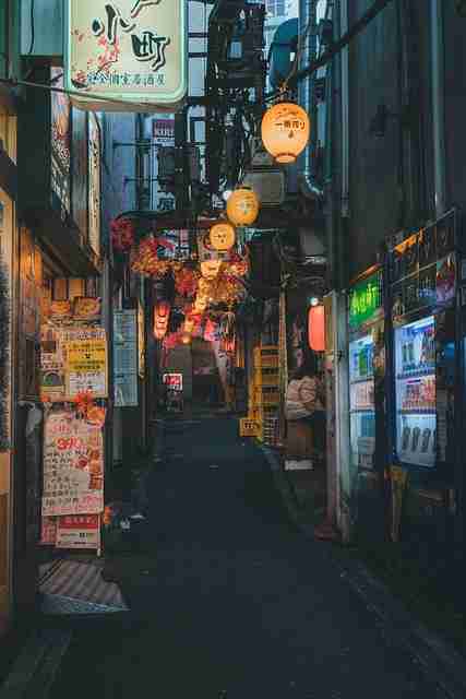 好色先生平台大数据分析｜绅士视角日常观看比例持续走高