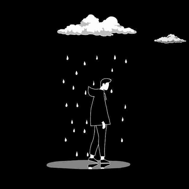 探花视频app观众热度曲线波动分析｜频道更新节奏控制表现持续稳定