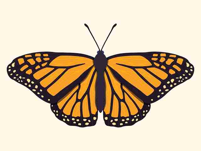 好色先生观看模式变化趋势|感官体验再塑引领视听潮流