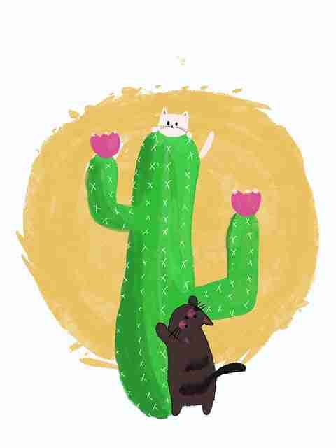 好色先生画面氛围盘点|感官调度现场构图极具张力