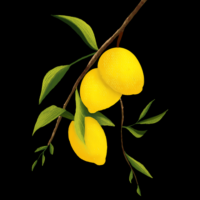 鉴黄师官网入口行为误判数据还原|平台内容风险提示设计人工判断权重重设