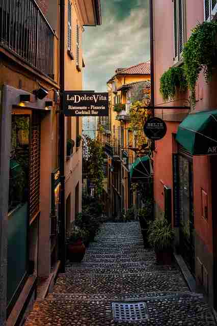 蘑菇视频电脑版作品曝光机会变动预告|会员权益内容解构创作节奏新指引