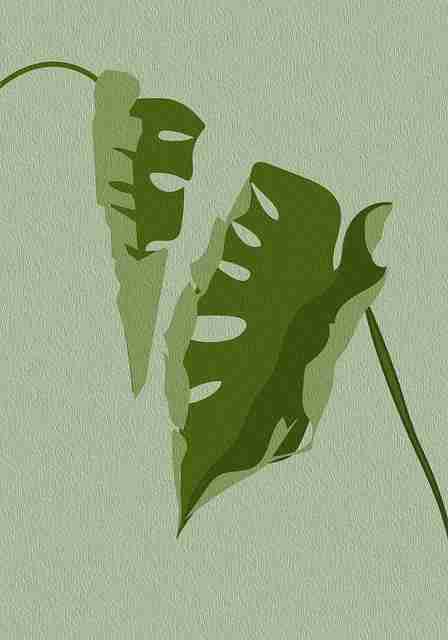 探花高评分系列扩容|互动性作品整理持续提升观看体验 第1张 探花高评分系列扩容|互动性作品整理持续提升观看体验 第1张