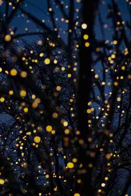 鉴黄师免费观看违规素材处理路径说明|高频违规类型分析执行轨迹可视化